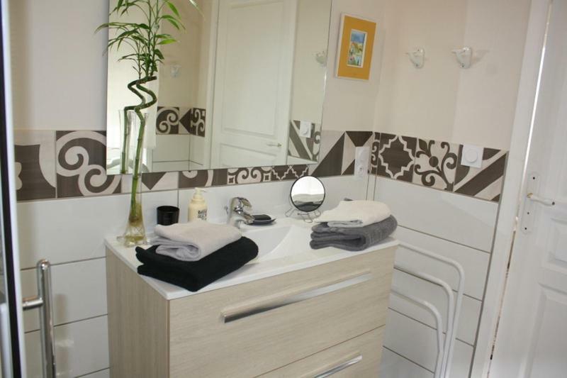 La Pecherie Bed & Breakfast Selles-sur-Cher Dış mekan fotoğraf