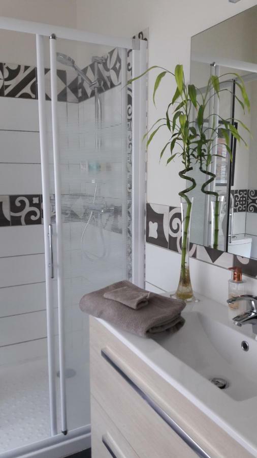 La Pecherie Bed & Breakfast Selles-sur-Cher Dış mekan fotoğraf